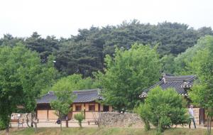 아산 외암마을 숲은 외암 이간의 묘소를 중심으로 소나무 숲을 조성한 것이 마을 숲의 시초가 됐다.
