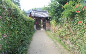 경남 산청 남사면의 남사예담촌 옛 돌담은 고목과 한옥기와집이 어우러져 고풍스러움과 마을의 역사를 말해주고 있다.