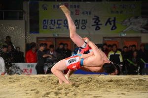 지난 2014년 홍성에서 개최된 설날 씨름 대회 경기 모습.