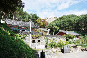 용봉사와 오른쪽 송림사이로 보이는 병풍바위.