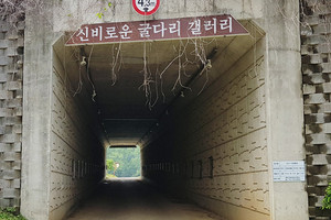 신비로운 굴다리 갤러리의 모습.