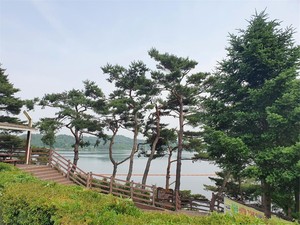 예당호 출렁다리 느린호수길 종료지점 예당호 중앙생태공원.