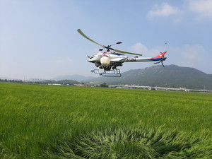 지난 19일 삽교읍 용동리에서 실시된 항공방제 장면.