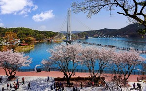 공공저작물로 개방된 한국사진작가협회 예산지부에서 촬영한 예당호 출렁다리 전경.