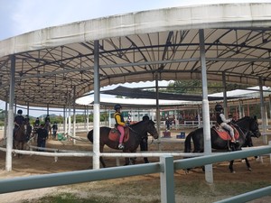 승마교육을 진행하고 있는 서부면 마을학교.