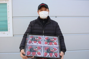 포장된 아리향 딸기를 보이며 설명을 더하는 홍주 아리향 영농조합법인 홍성대 본부장.