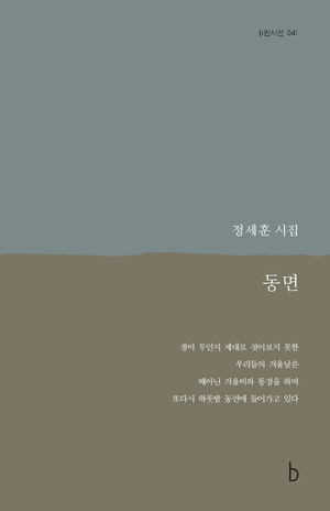 정세훈 시인의 9번째 시집 '동면'의 표지.