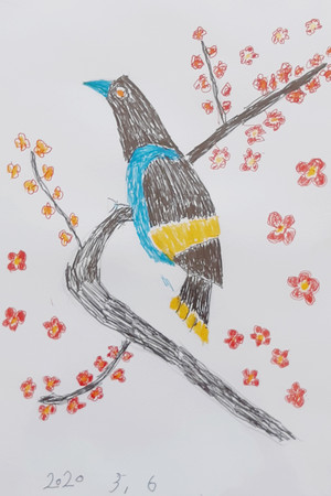 양영자·&lt;꽃과 새&gt;·36x26cm·싸인펜.