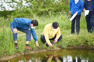 황선봉 군수가 두꺼비 산란지를 살펴보고 있다.