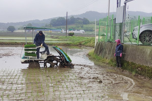 갈산면 동산리에 위치한 예찰답 이앙작업.