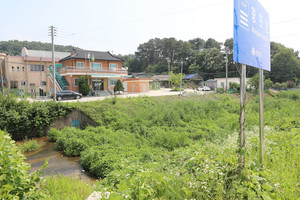 왕포천.