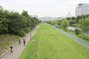 경기 성남시 도심을 관통하는 탄천이 생태하천으로 복원돼 체육시설과 자전거 도로 등 사람과 자연이 어우러지는 생명의 공간으로 탈바꿈했다.