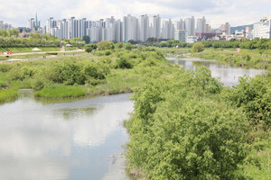 갑천 전경.