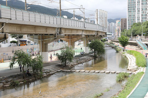 부산 온천천 전경.