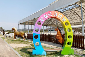 홍성군승마장 전경.