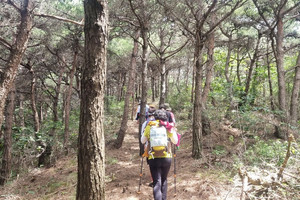 만해한용운생가 가는길-내포역사인물길 4코스.