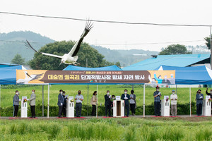 황새 방사행사 모습.