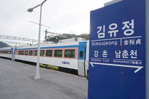 춘천의 실례마을은 김유정문학촌 조성을 계기로 마을전체를 김유정과 관련된 이름으로 바꿔 지역 이미지 홍보에 효과를 거두고 있다.