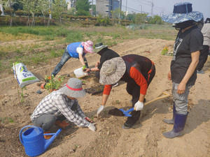 청년농업인 영농체험 현장.