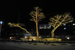 예산시네마 인근 가로수 야간경관조명.