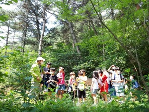 지난해 실시된 ‘숲 체험프로그램’ 현장 모습.