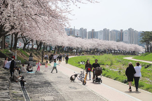 지난 10일 홍성천변 모습.
