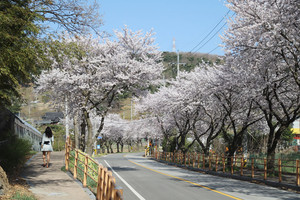지난 11일 구항면 거북이마을 모습.
