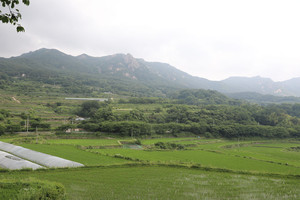 산청 황매산 자락의 청정한 자연환경·다랑이논에서 &nbsp;친환경 유기농법으로 벼농사를 짓고 있다.