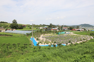 홍북 석택리 석교마을 전경.