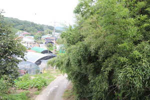 택리(직절)마을.
