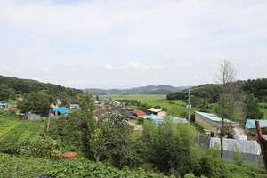 택리(직절)마을 전경.