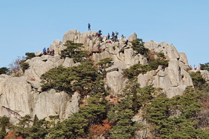 용봉산