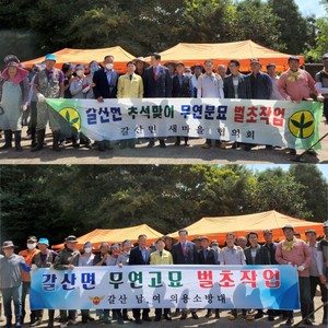 무연분묘 벌초 전 기념 촬영 모습.