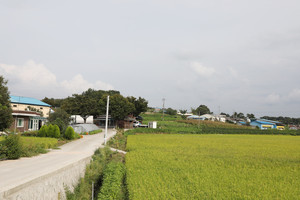 홍북읍 봉신리 지동마을 전경.​​​​​​​