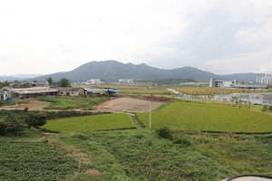 홍북읍 봉신리 지동마을 전경.