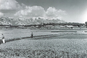 1962년 신경리 신리마을 전경.