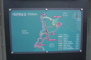 대관령숲길 4개 코스(목장·소나무·옛길·구름)는 안내센터에서 출발해 돌아오는 순환형 구조다. 그중 목장·구름 코스는 평창군, 소나무·옛길 코스는 강릉시에 걸쳐있다.