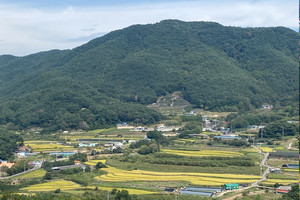 밀양 단장면 감물리 다랑이논 전경.