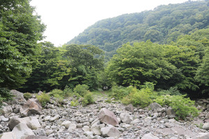 천아숲길 입구.