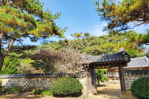 사운고택.