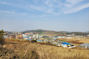 결성면 전경.