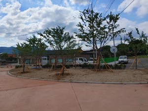 예산군 도시숲(녹색쌈지숲) 조성 모습.
