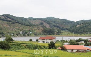천태저수지 풍경.