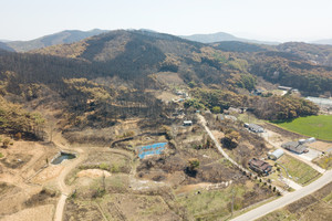 지난 2일 발생한 홍성 산불로 인해 까맣게 타버린 임야.