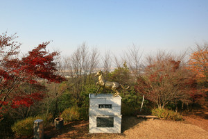 금마면 철마산.