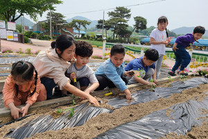 금당초등학교 텃밭 가꾸기.