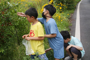 대정초등학교.