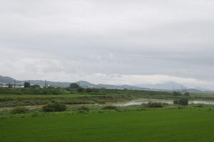 금마천(삽교천).