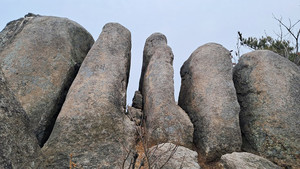 수암산 오형제바위.