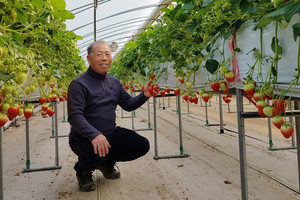 홍성군딸기연구회 한항우 회장.